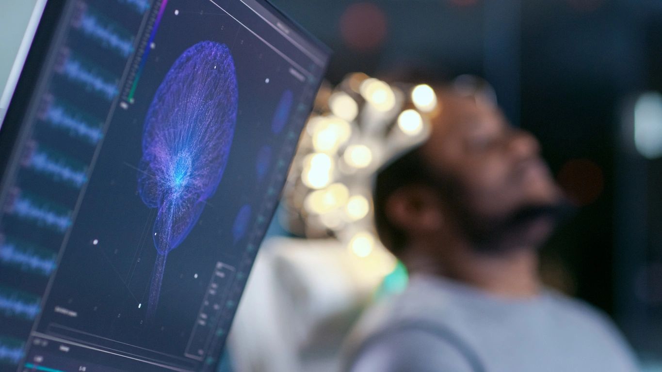 human brain displayed on screen